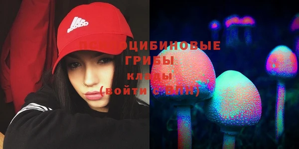 2c-b Балахна