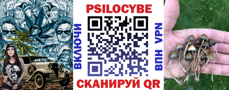 Псилоцибиновые грибы Magic Shrooms  Суровикино 