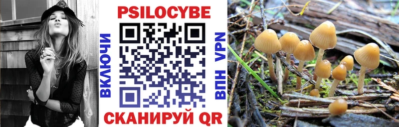 Галлюциногенные грибы GOLDEN TEACHER Суровикино